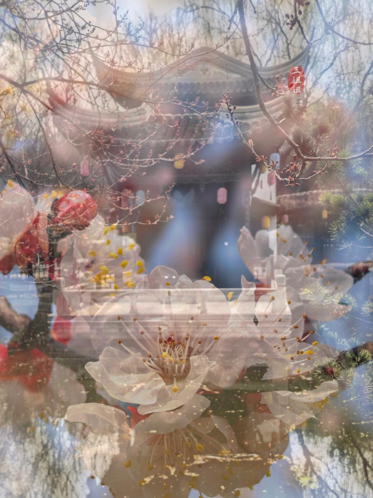 春日赏花好去处，郑州绿博园拍杏花有些与众不同，可以多一些人文氛围。
三月春风暖，