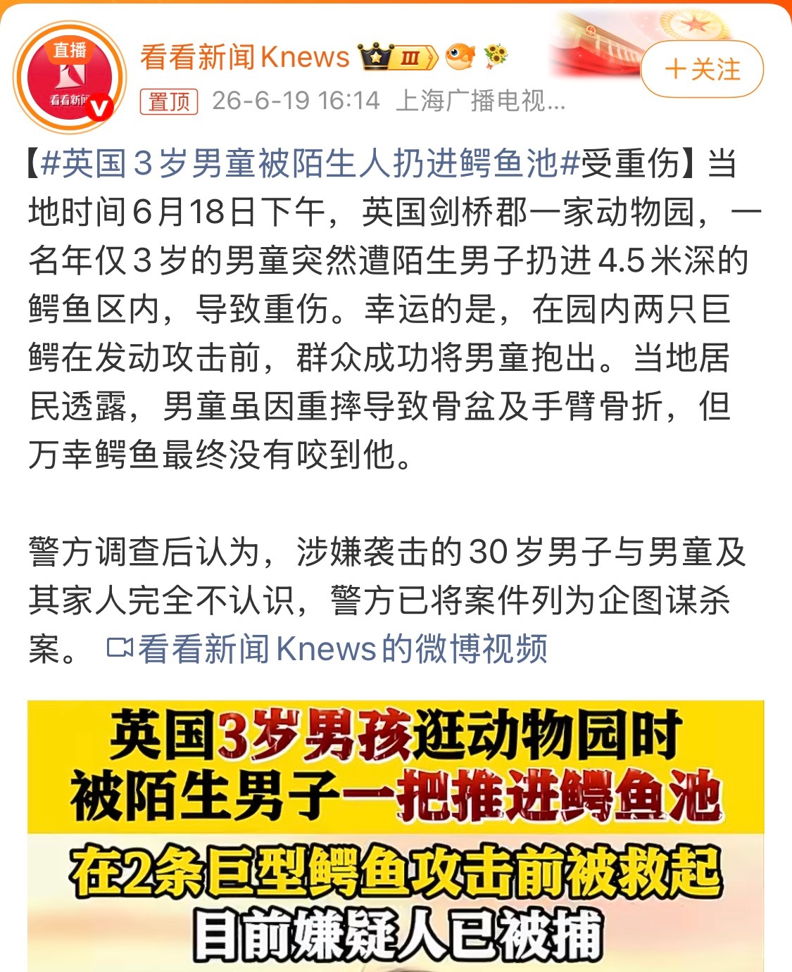 英国3岁男童被陌生人扔进鳄鱼池❌英国男子将三岁男童扔进鳄鱼池 ⭕真受不了国内的碍