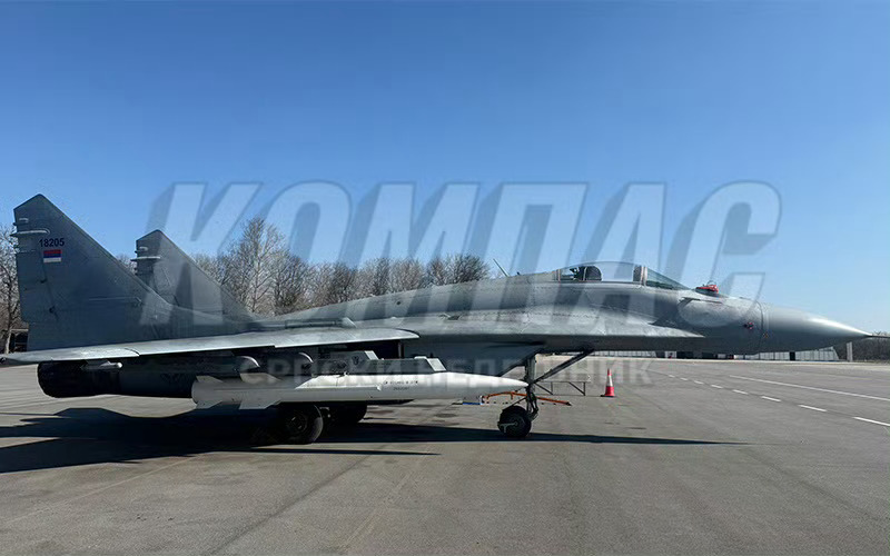 兔子新锐装备海外首秀，我说的是蛋蛋