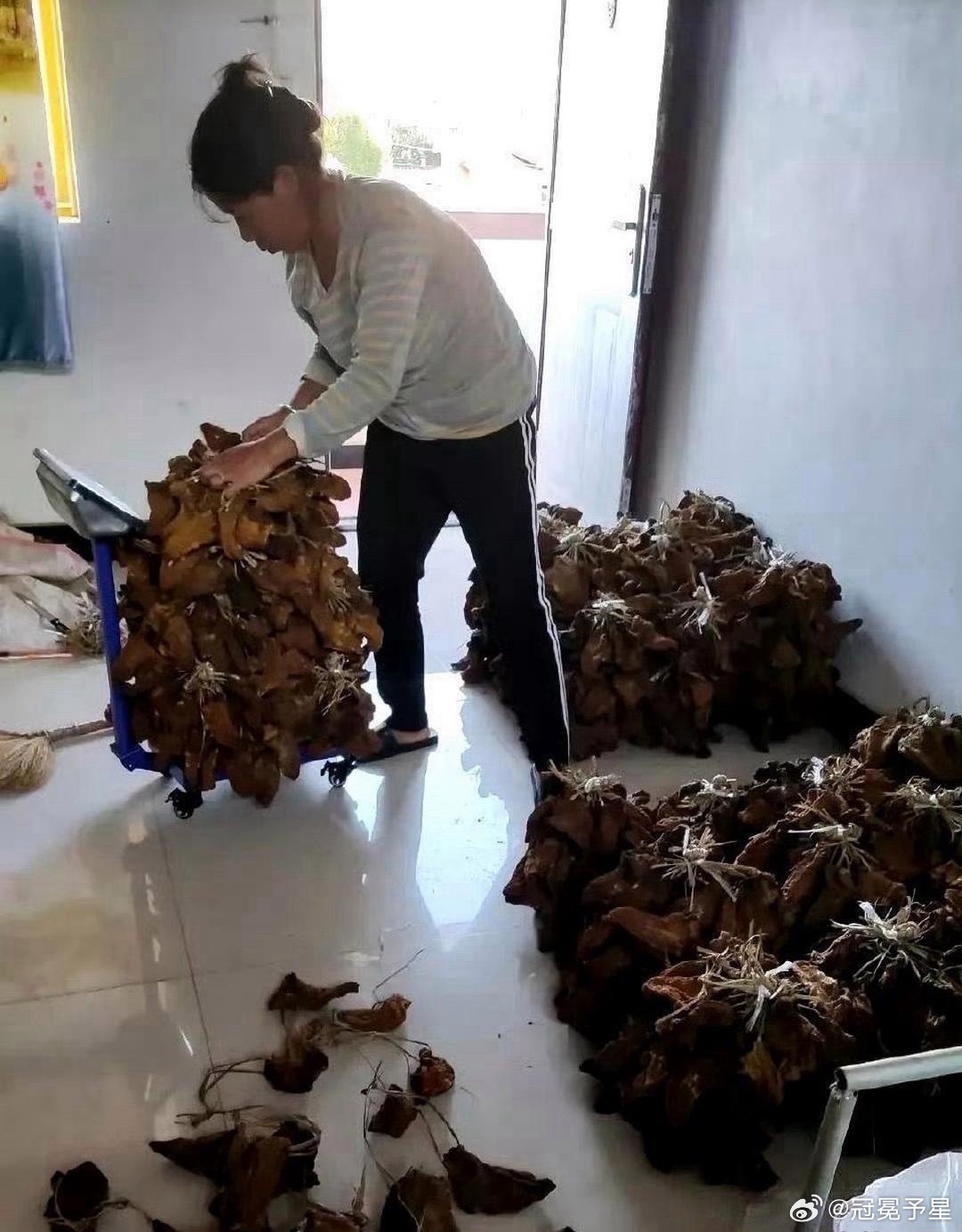 这才是真正的大户人家，太让人羡慕了 