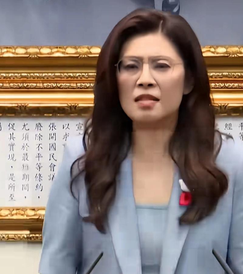 大陆强调“九二共识”，认为这是两岸和平发展乃至台海统一的基石。可国民党强调“九二