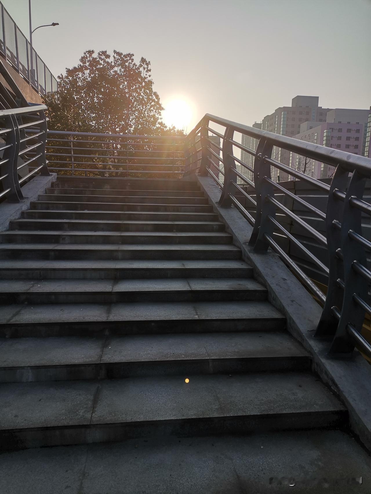 春日生活打卡季