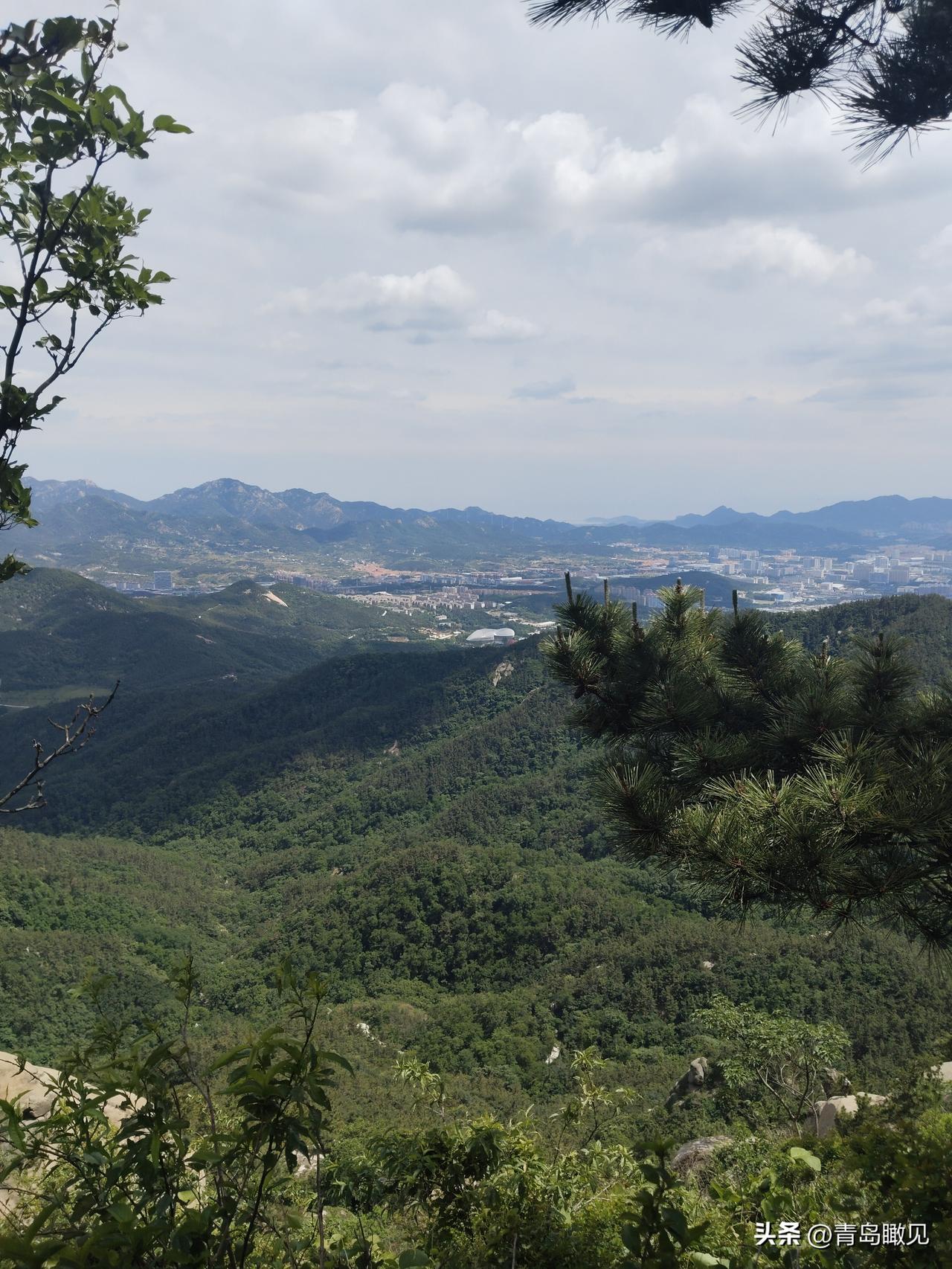 火了！封山期结束，青岛的这些山火了，关键还都免费！

进入6月，青岛的封山期结束