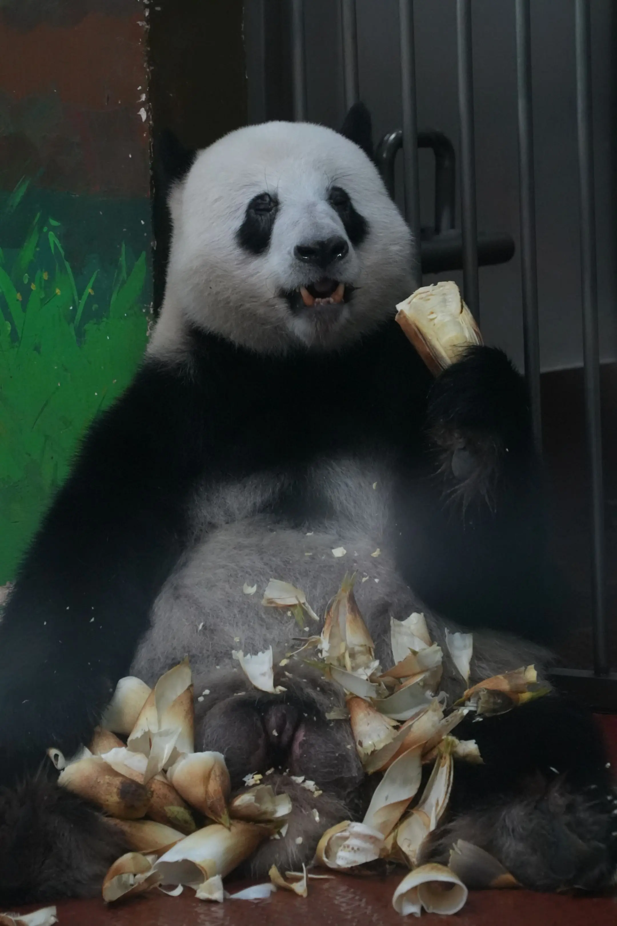 星一啊，你无效打码了。