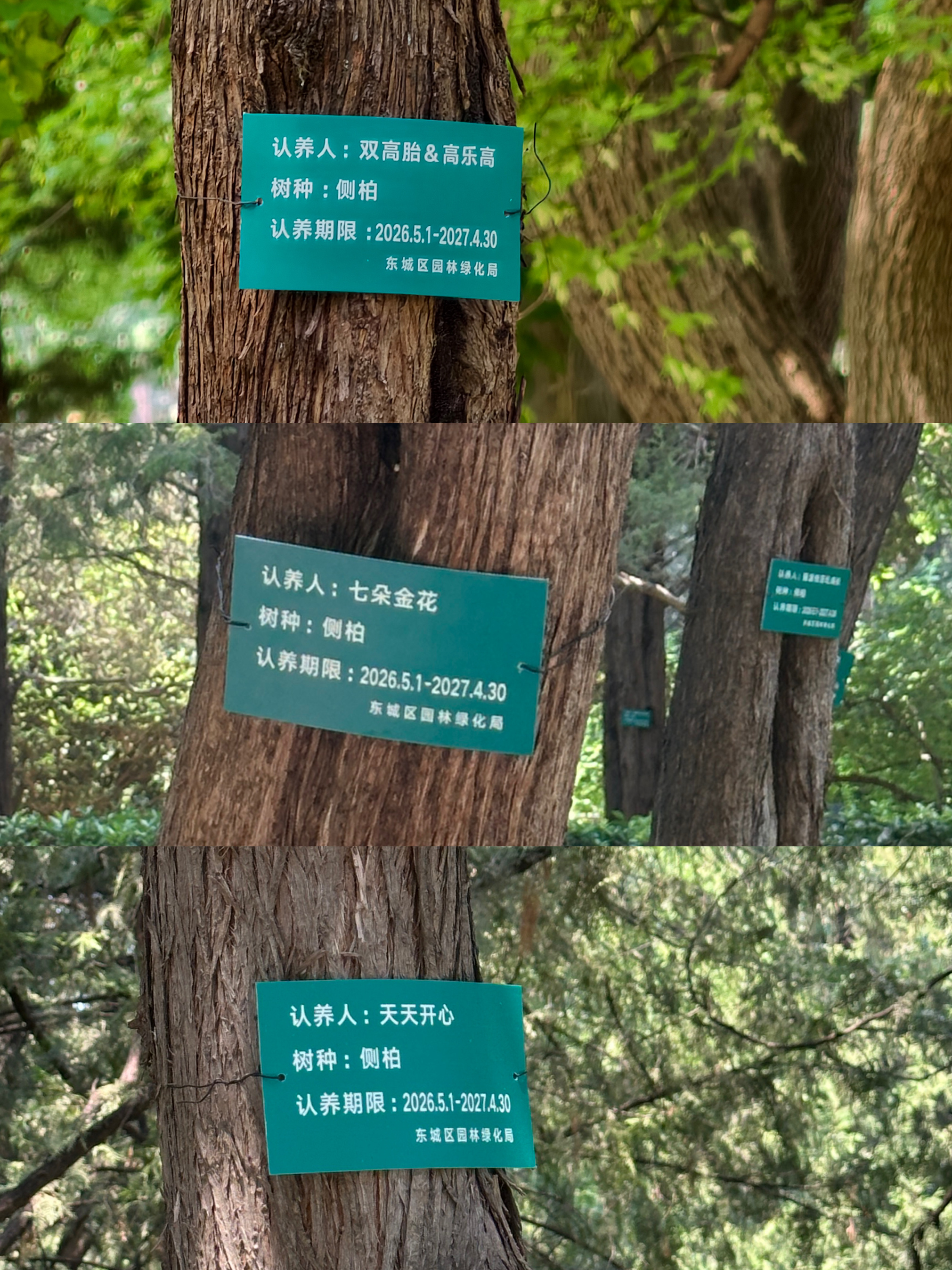 超越玩家通关✅下次再见！ 