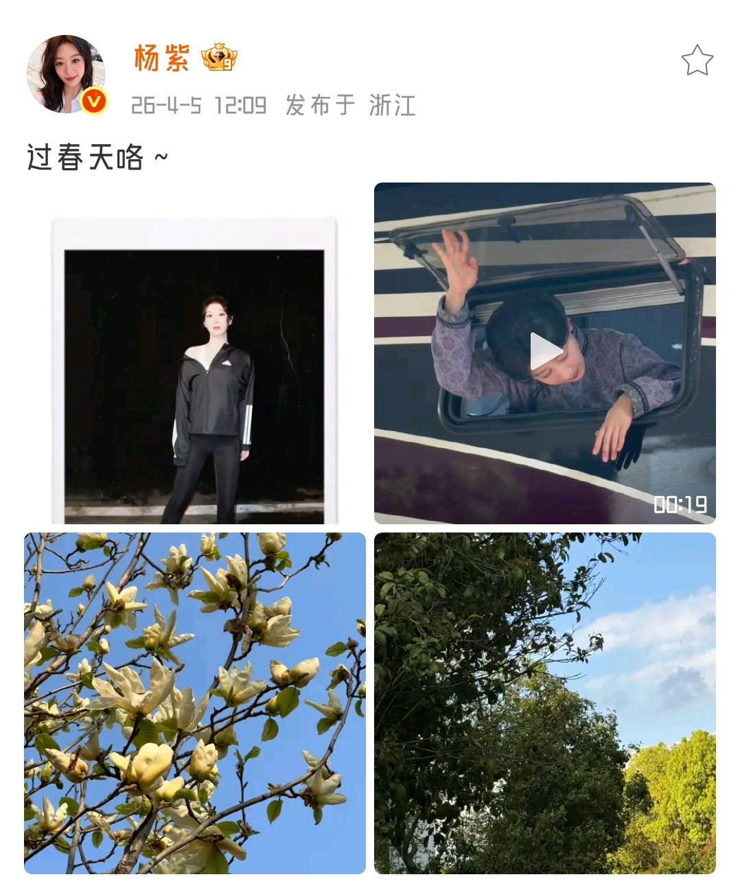 20260405-20260426杨紫原创微博视频→网页链接图文（无水印）260