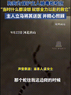 “太有灵性了！”河北唐山，女子回家路上发现一条毒蛇，还吐着蛇信子朝她爬来，女子不