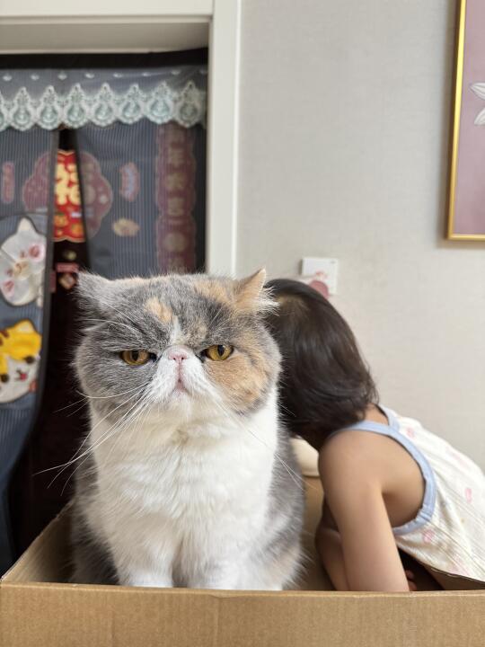 带娃可真高兴啊😶