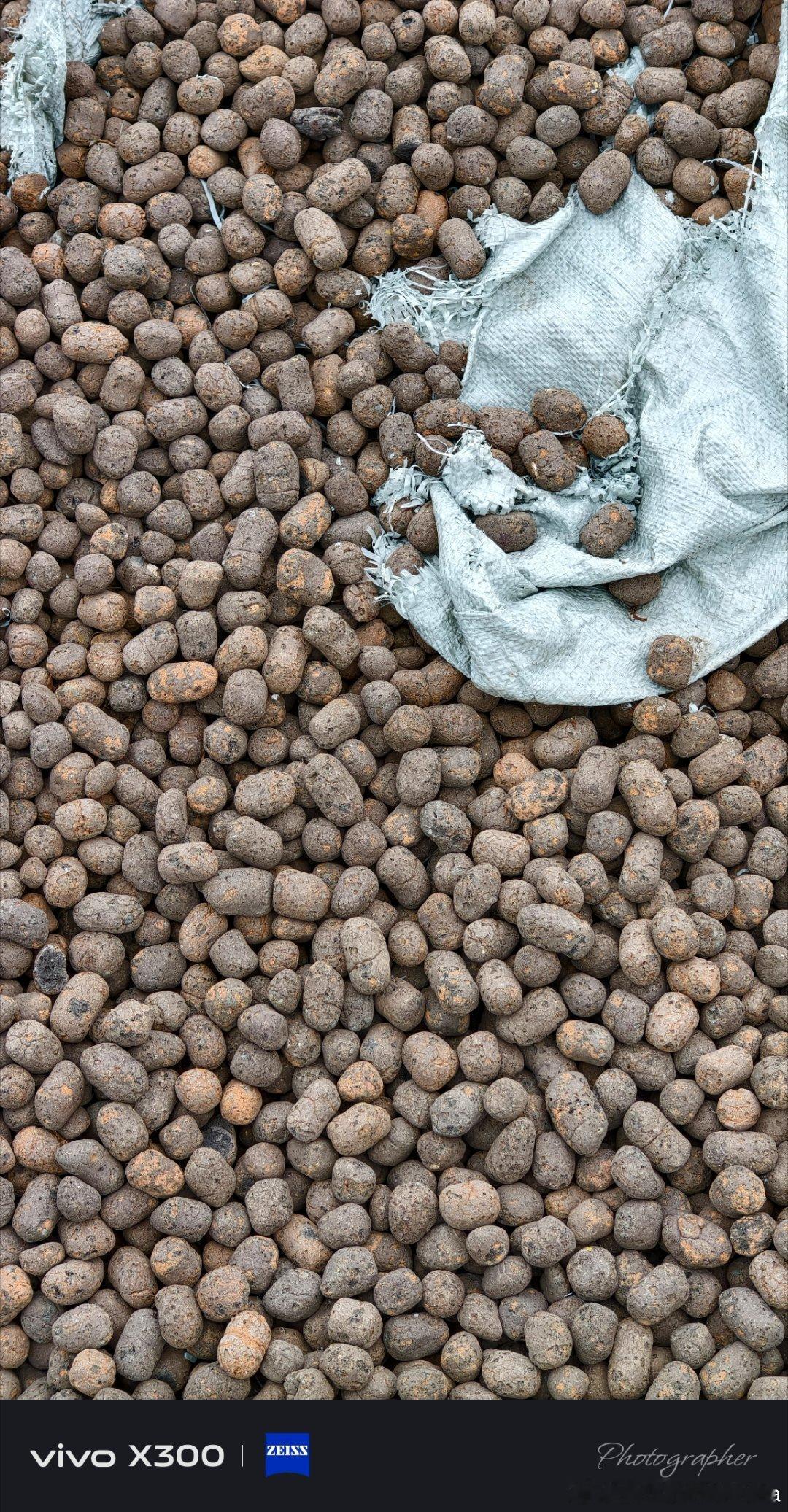 中午工作到十二点才吃饭确实有点意外更多的是    不说🙊了还好居然还有意外的收