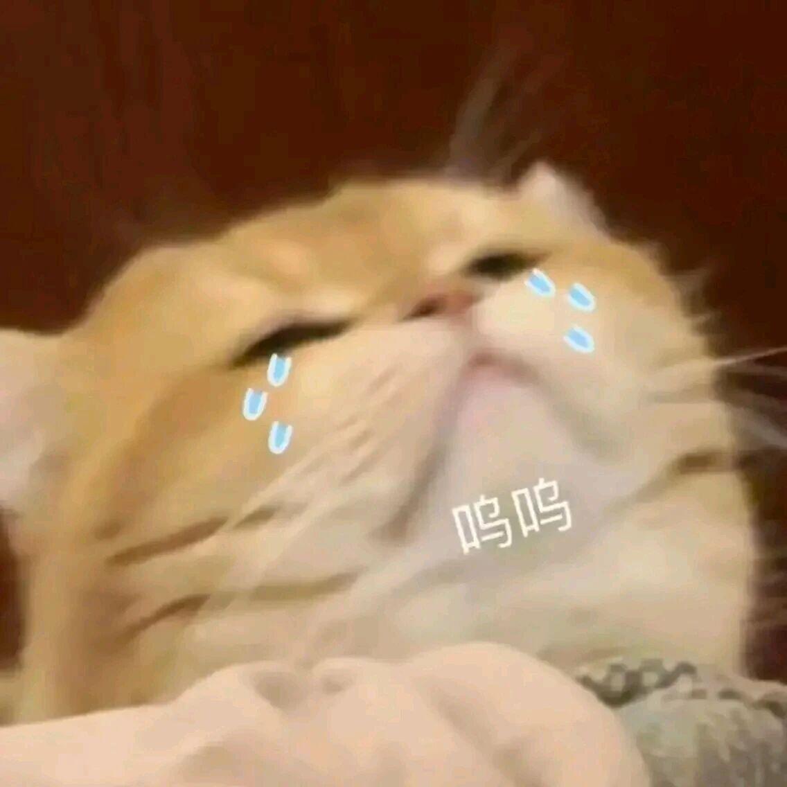 好想李云霄……我的霄霄，最近有好好吃饭嘛？睡得还好吗？排练力度这么强有没有受伤啊