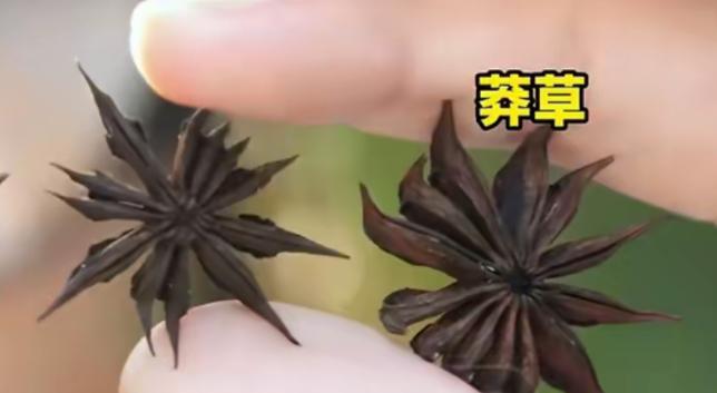 “这是草菅人命！”浙江临城，一女子家炖了一锅红烧牛肉，随手放了几颗超市买来的“八