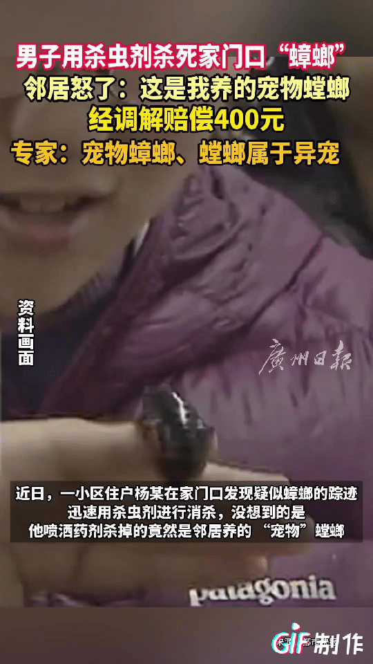 杭州一男子发现家中有疑似蟑螂的虫子出现，于是他就拿来杀虫剂对着“蟑螂”喷了几下，