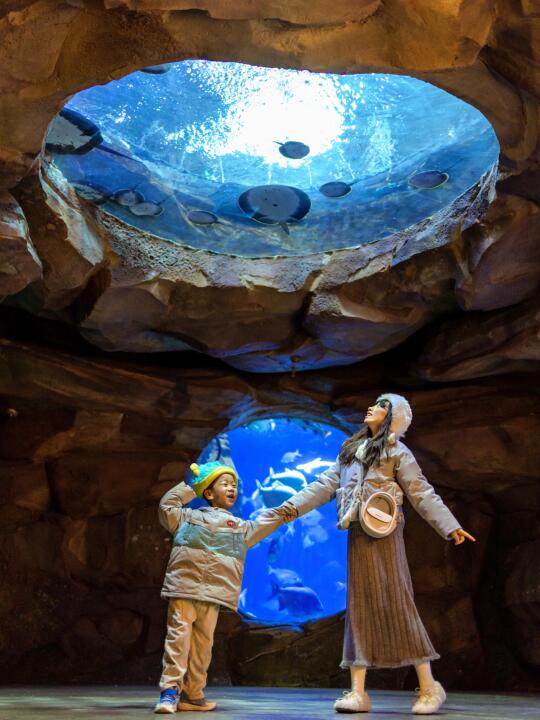 高铁直达🐯冬天玩转郑州疯狂动物城全攻略