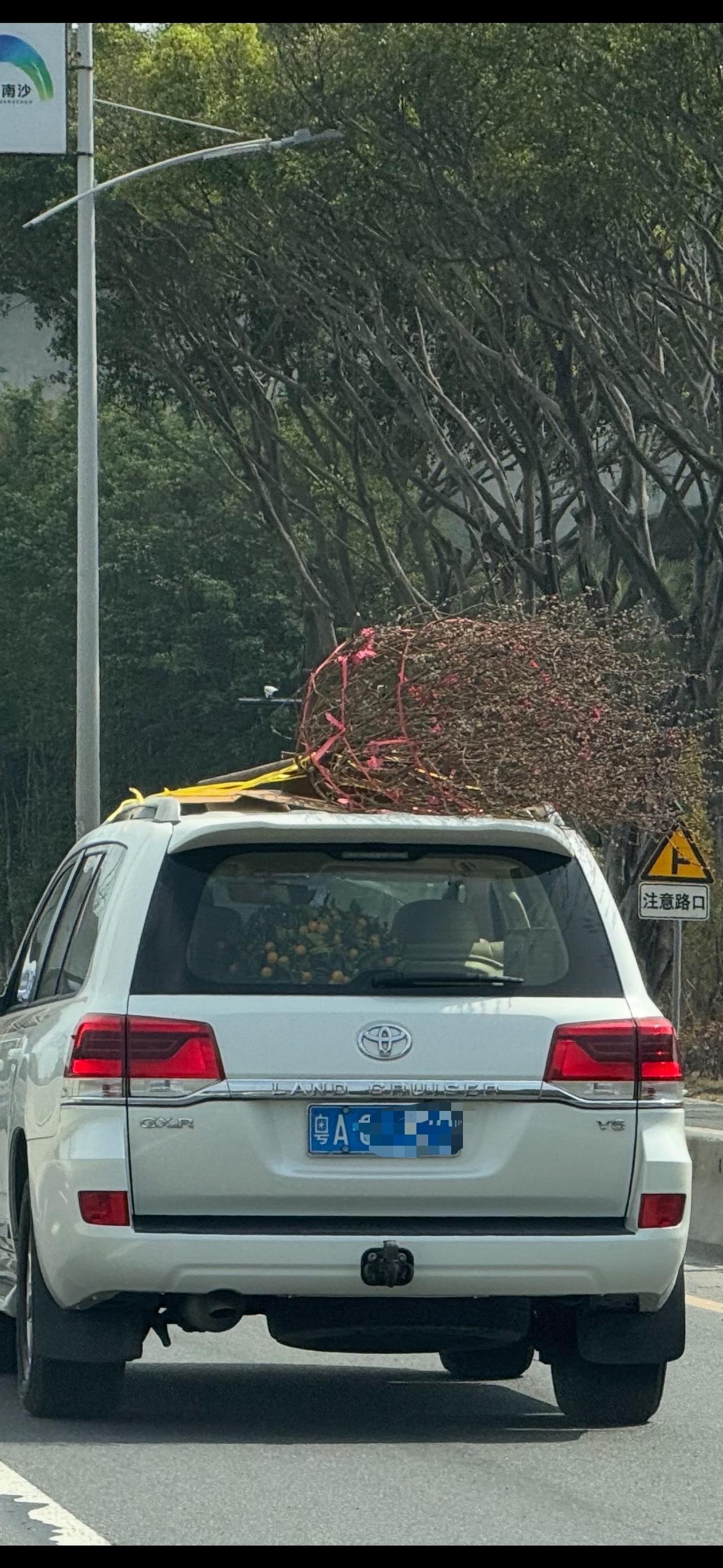 每年广东人都会想尽办法…运桔【来自懂车帝车友圈】