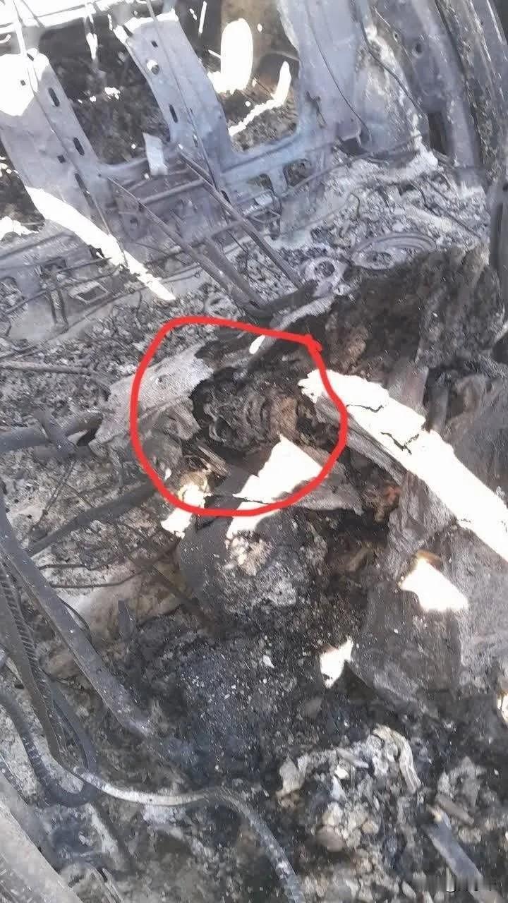 盖不住了！飞机残骸里有美国军人头骨！