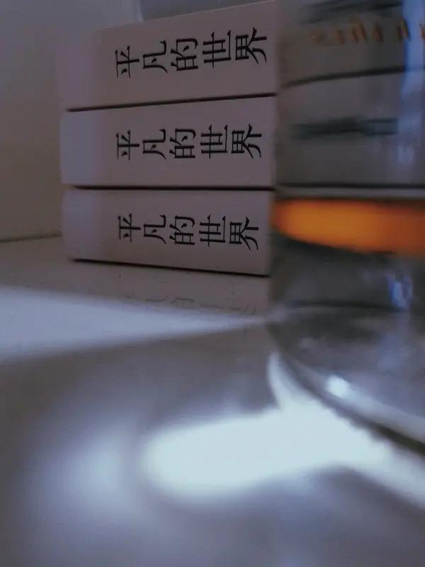 今日读书，读的是路遥的《平凡的世界》。这本书就像一面镜子，映照出生活的真实模样。