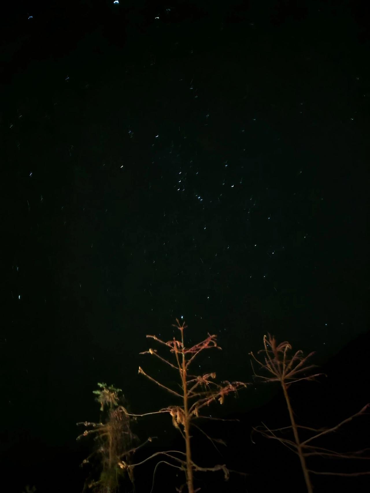星光不问赶路人，时光不负有心人。蛇年元旦夜回家路上，途经山路旁，停车打山泉水时，