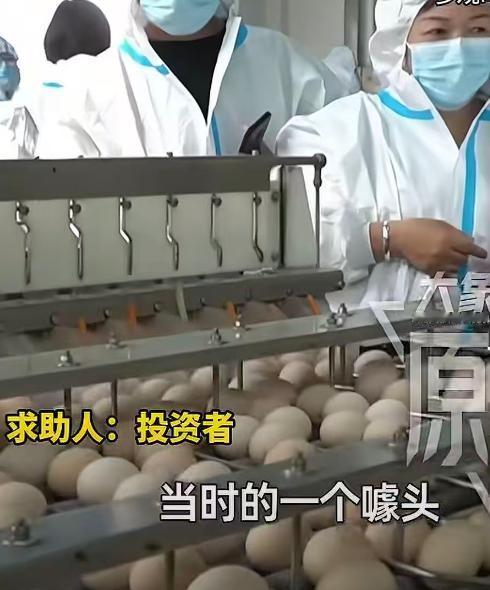 6 月 5 日，河北邯郸出现一起以 “免费吃鸡蛋” 为噱头的投资骗局。多名投资者