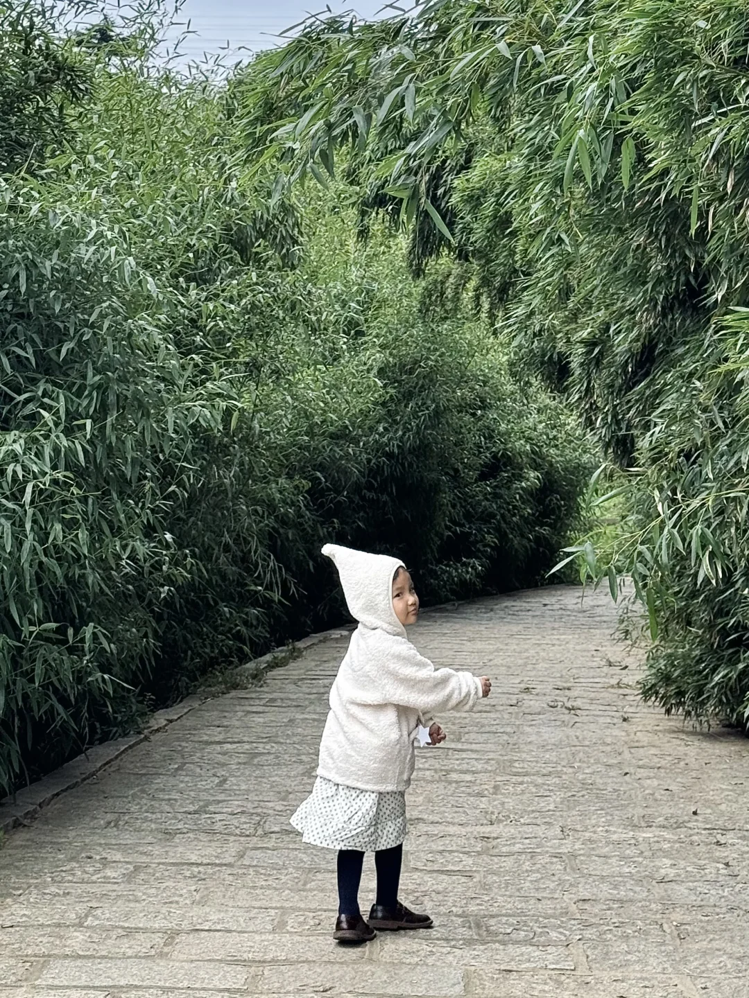 已经开始期待秋天的植物园了🍃