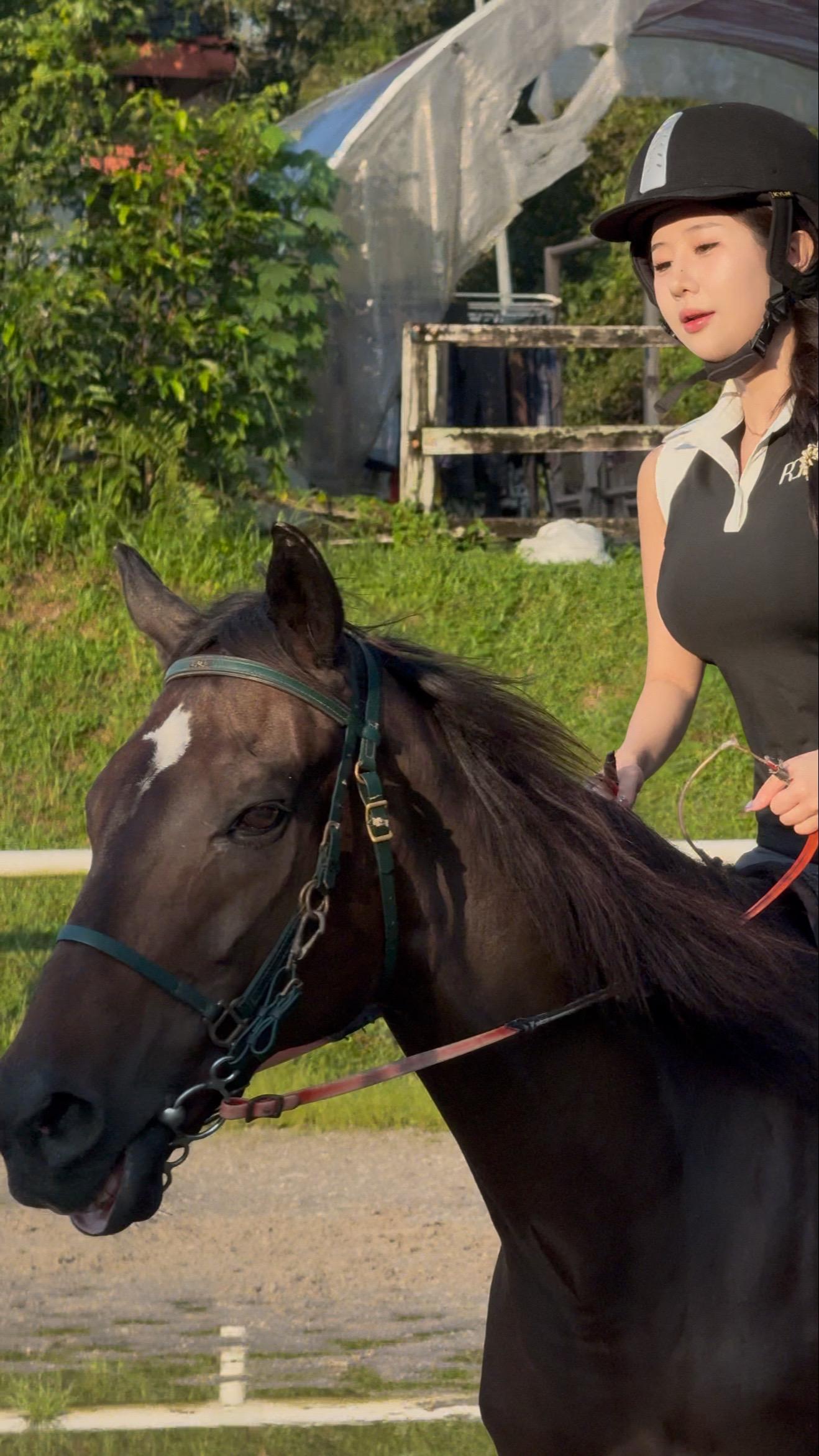 只要在路上 慢一点也无妨 骑马