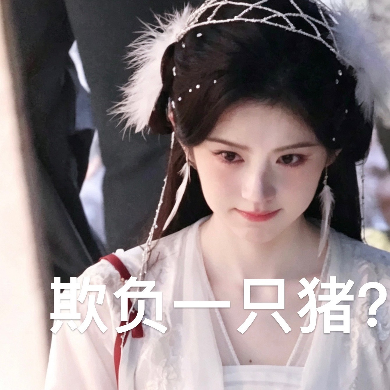 指猪为猫什么意思