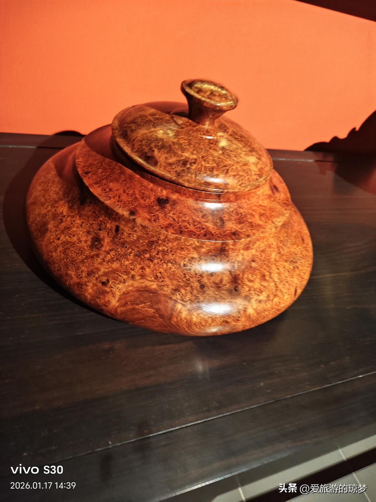 春日生活打卡季