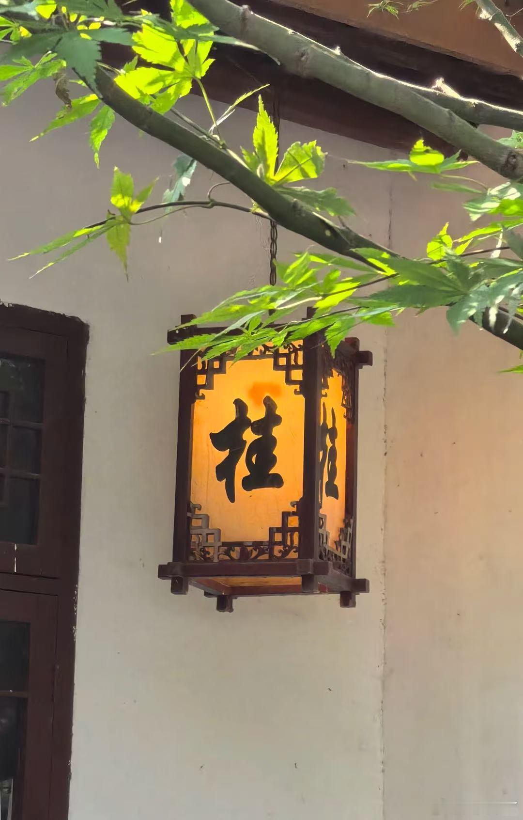杭州的秋韵藏在一城桂香里一到秋天走在杭州街头，空气里全是甜甜的桂花香，满觉陇的桂