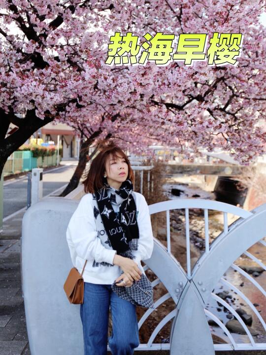 热海春日游｜赏樱看海喝咖啡（2月17日）
