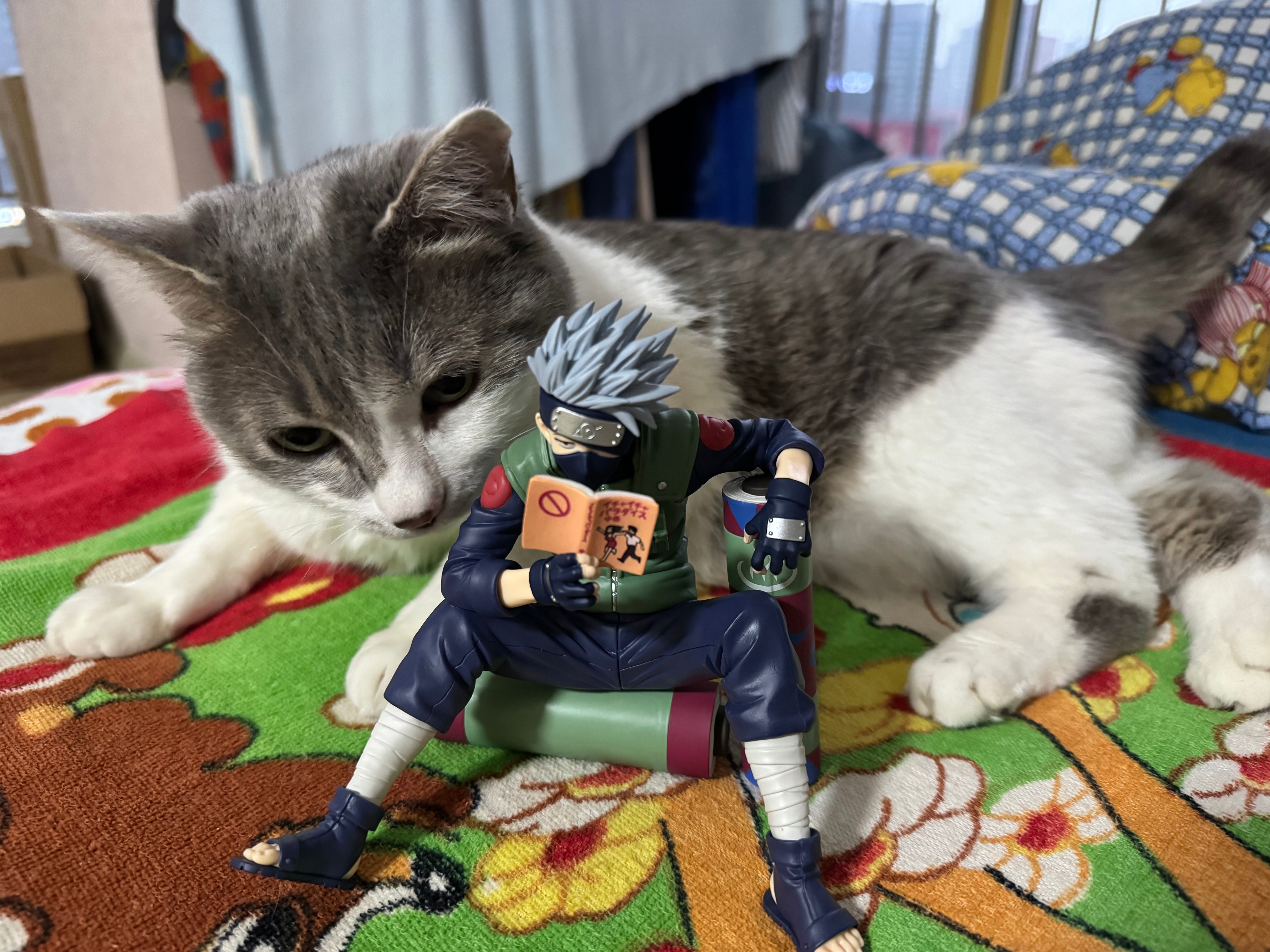 4679.小猫偷看亲热天堂 