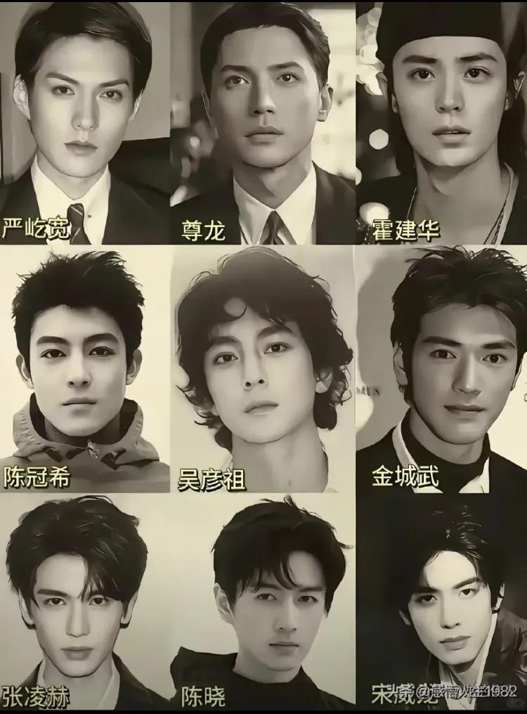 严屹宽，尊龙，霍建华，陈冠希，吴彦祖，金城武，张凌赫，陈晓东，宋威龙
这老中青三