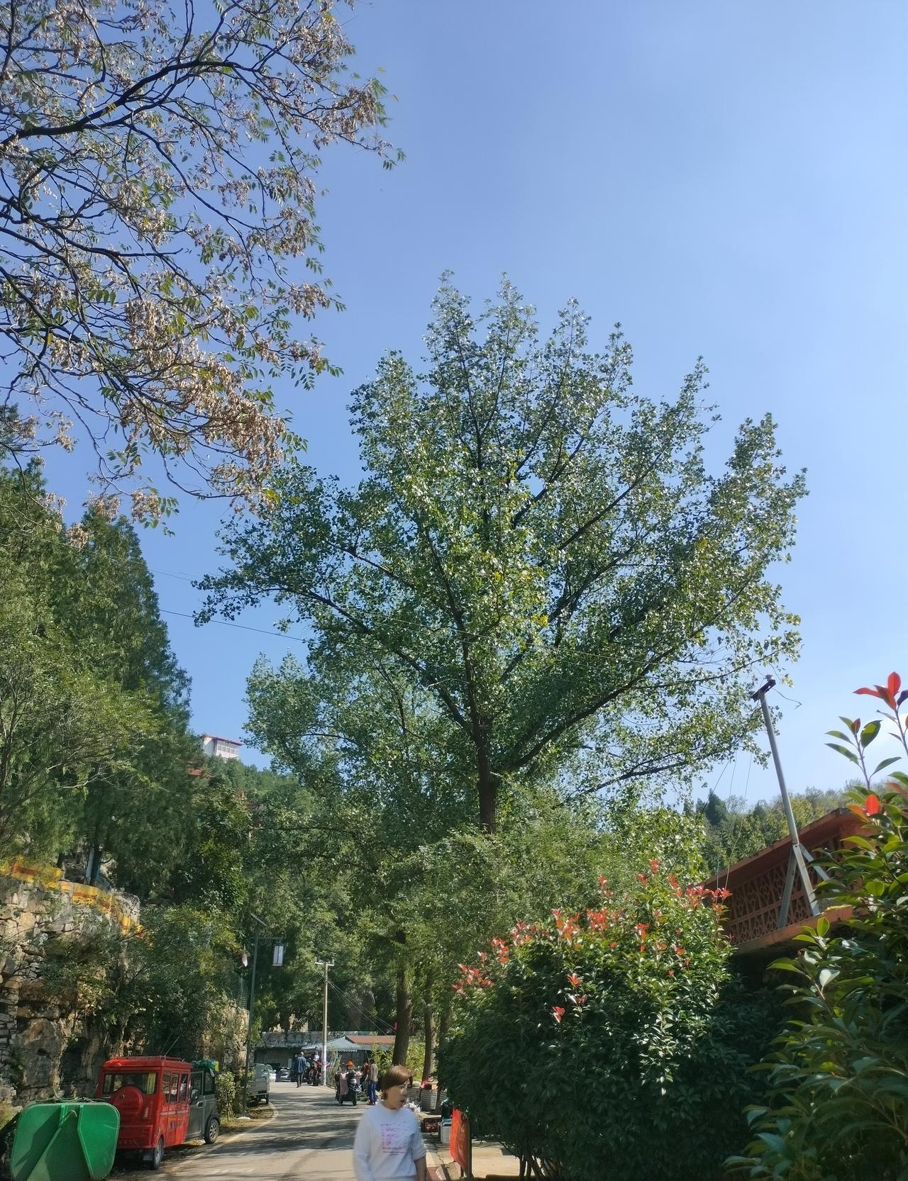 农村社会的“人情冷暖”日益显著，尤其在金钱面前，情感纽带变得越发脆弱。
有钱人受