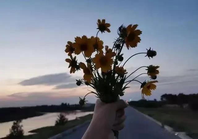 “爸，我在殡仪馆实习了”
春节饭桌突然安静。大伯的筷子停在半空：“晦气！赶紧换工