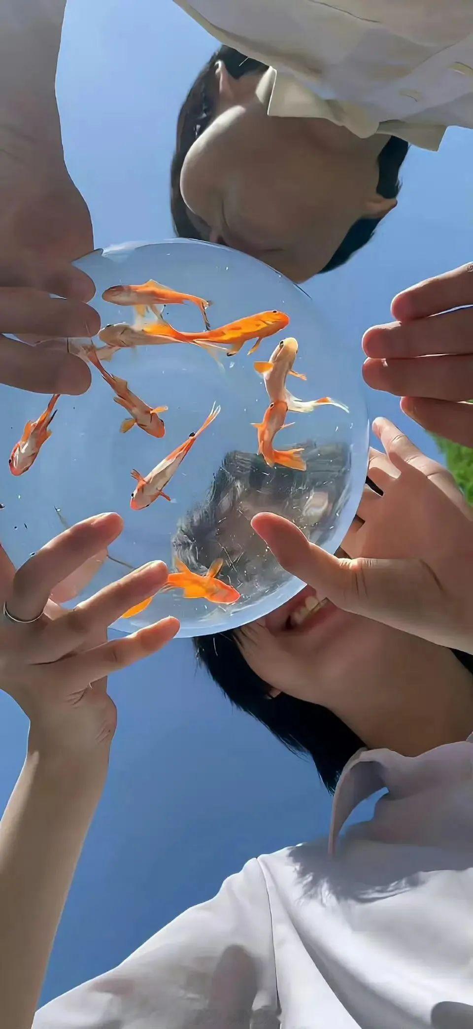夏天永远热烈，我我爱的少年也是。——《告白》晚安 言情小说推荐 ​​​