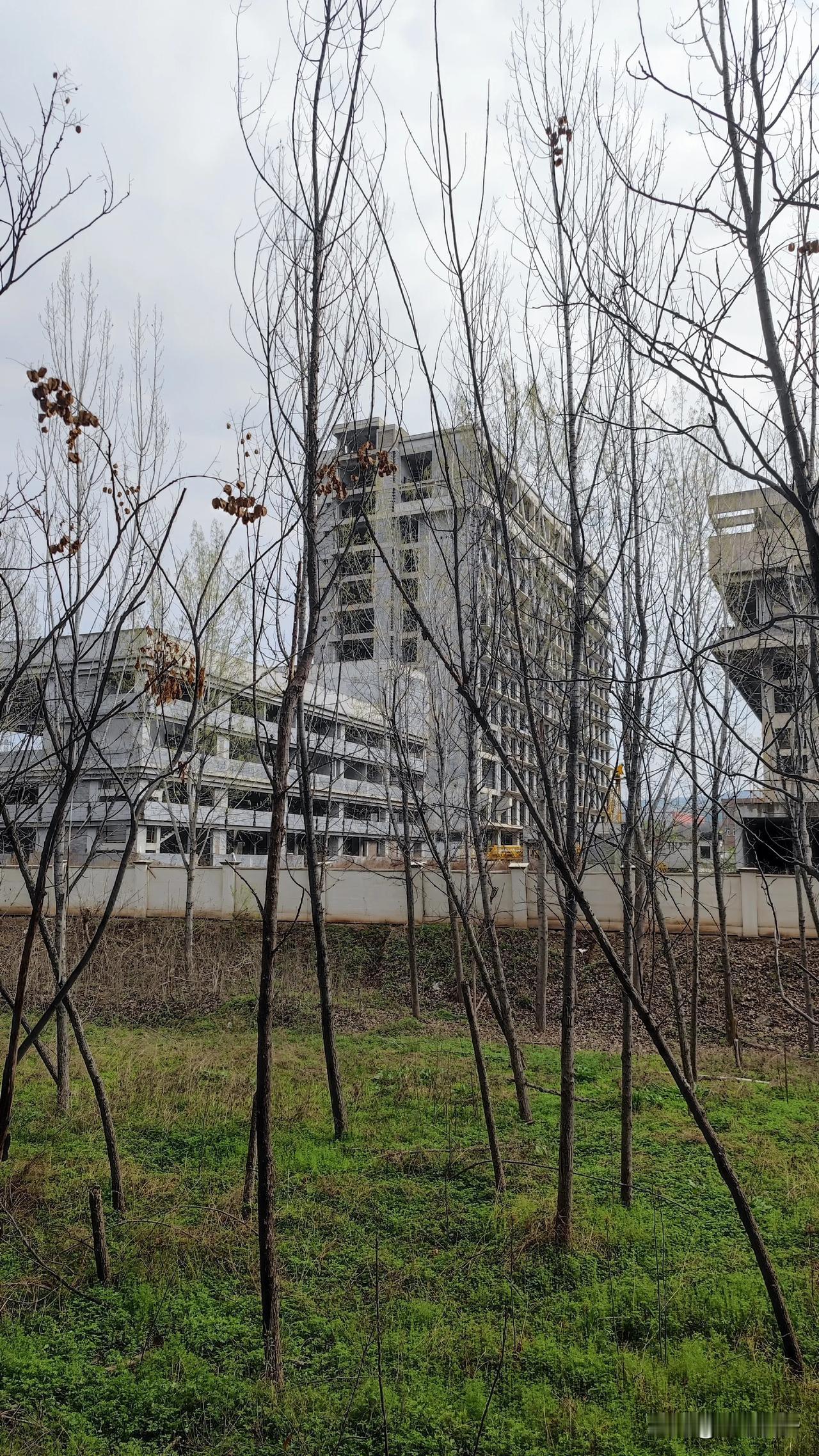 在灞桥区纺园六路建设了一所三甲医院，十里铺骨科医院迁建，周边业主拍手叫好！

但