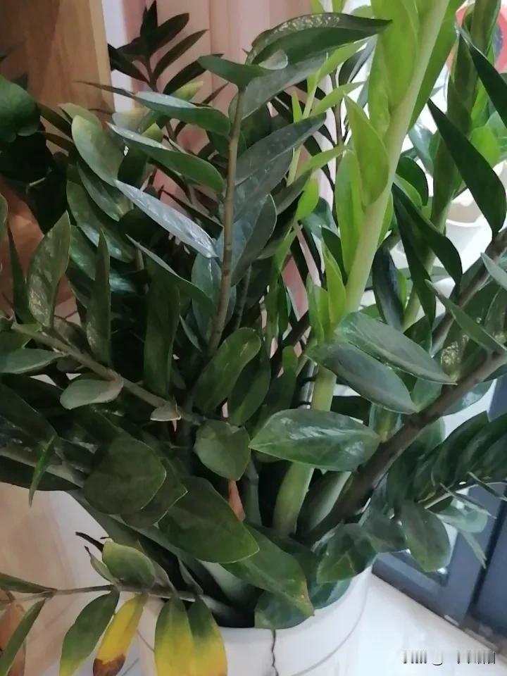 去年公司内部竞聘，我早就够资格却总犯嘀咕：“万一搞砸多丢人”“准备还不充分”。眼