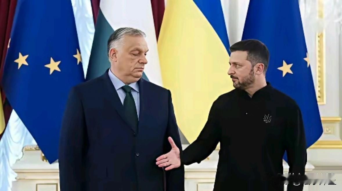 关键时候，泽连斯基又给自己“挖个坑”——切断“友谊”管道。在援乌问题上欧盟内部本