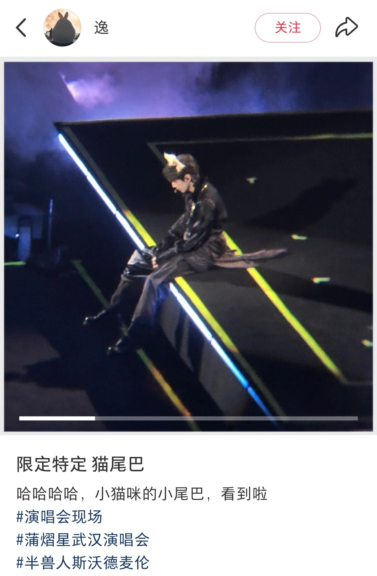 呃呃啊啊啊才看到我孩子的猫尾巴小猫宝宝能不能在苏州来个真的 ​​​