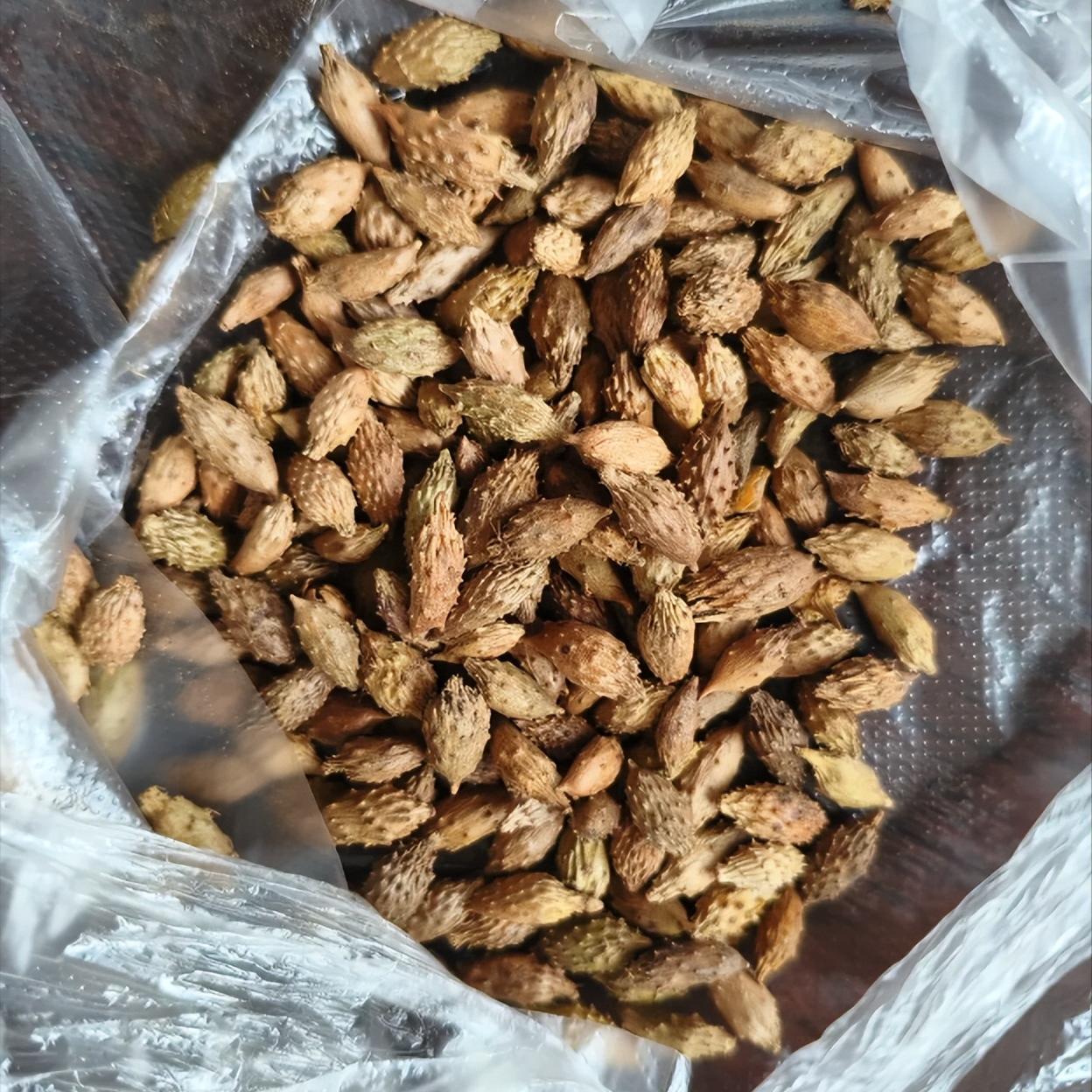 寒湿堵了耳窍的人，就像耳朵里蒙了块湿冷的布

你看是不是这样？体内寒湿重的人，一