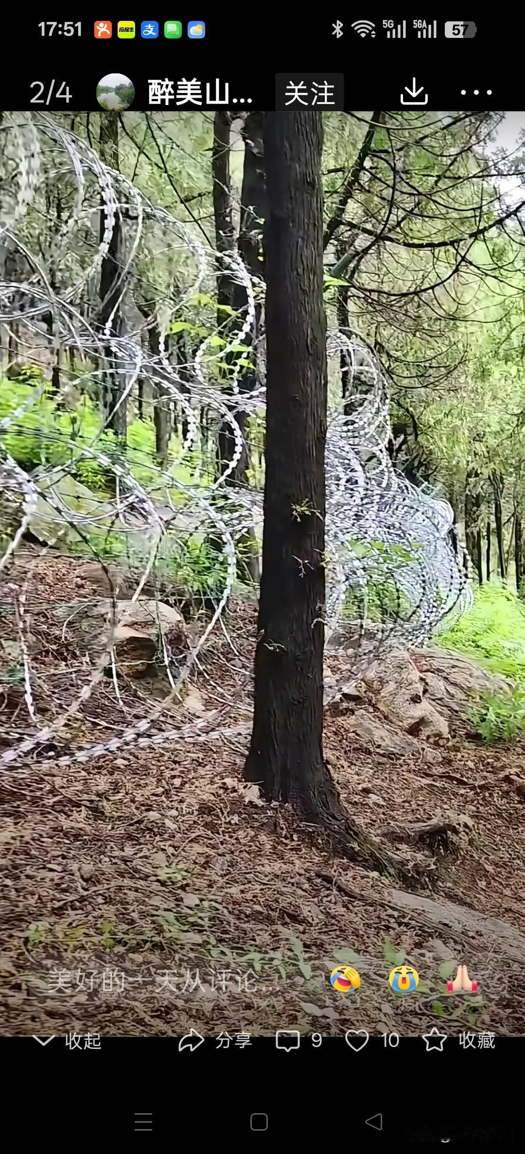 张维为教授说我们每人都拥有森林矿山等资源，比美国人富有。现在泰山被刀片铁丝网围起