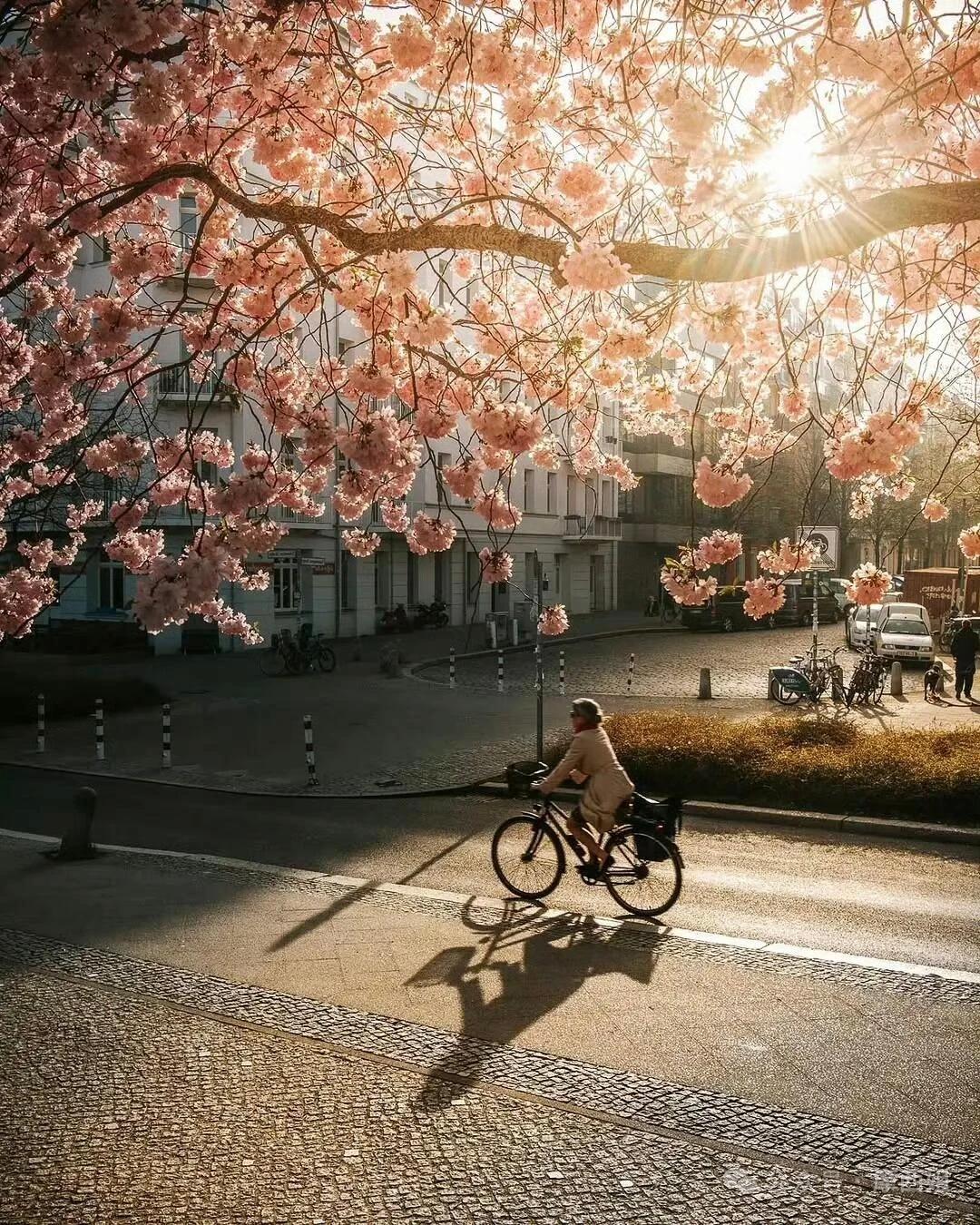 看清拳友，别点破；讨厌较劲，不翻脸！

练太极久了，你会明白——
看清一个拳友的