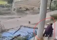 俗话说，远亲不如近邻，湖南衡阳86岁独居老人却遭到70岁邻居的拳脚相加，看着让人