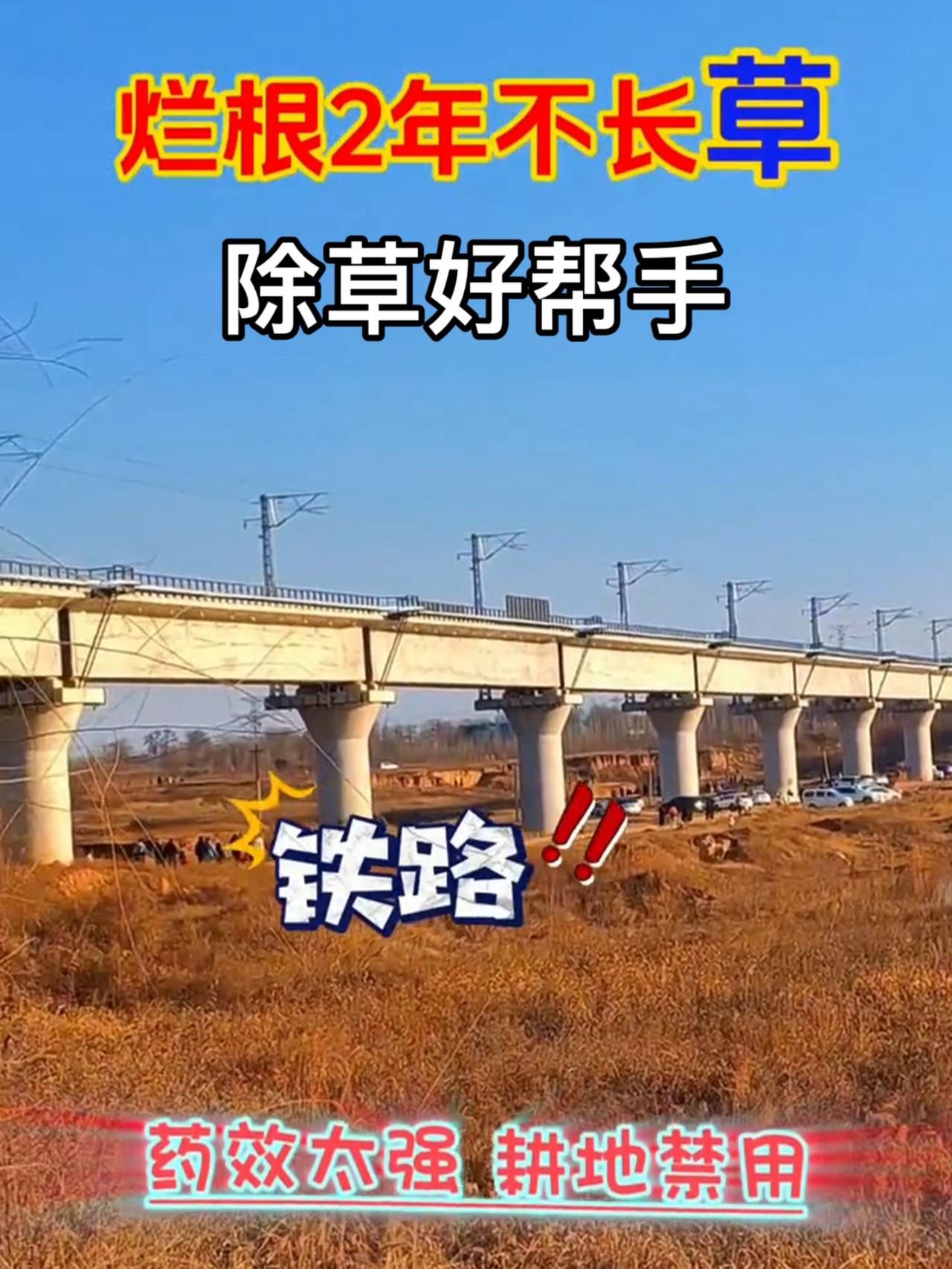 用上一次持效2年除杂草强力除草剂甲嘧磺隆 非耕地除草