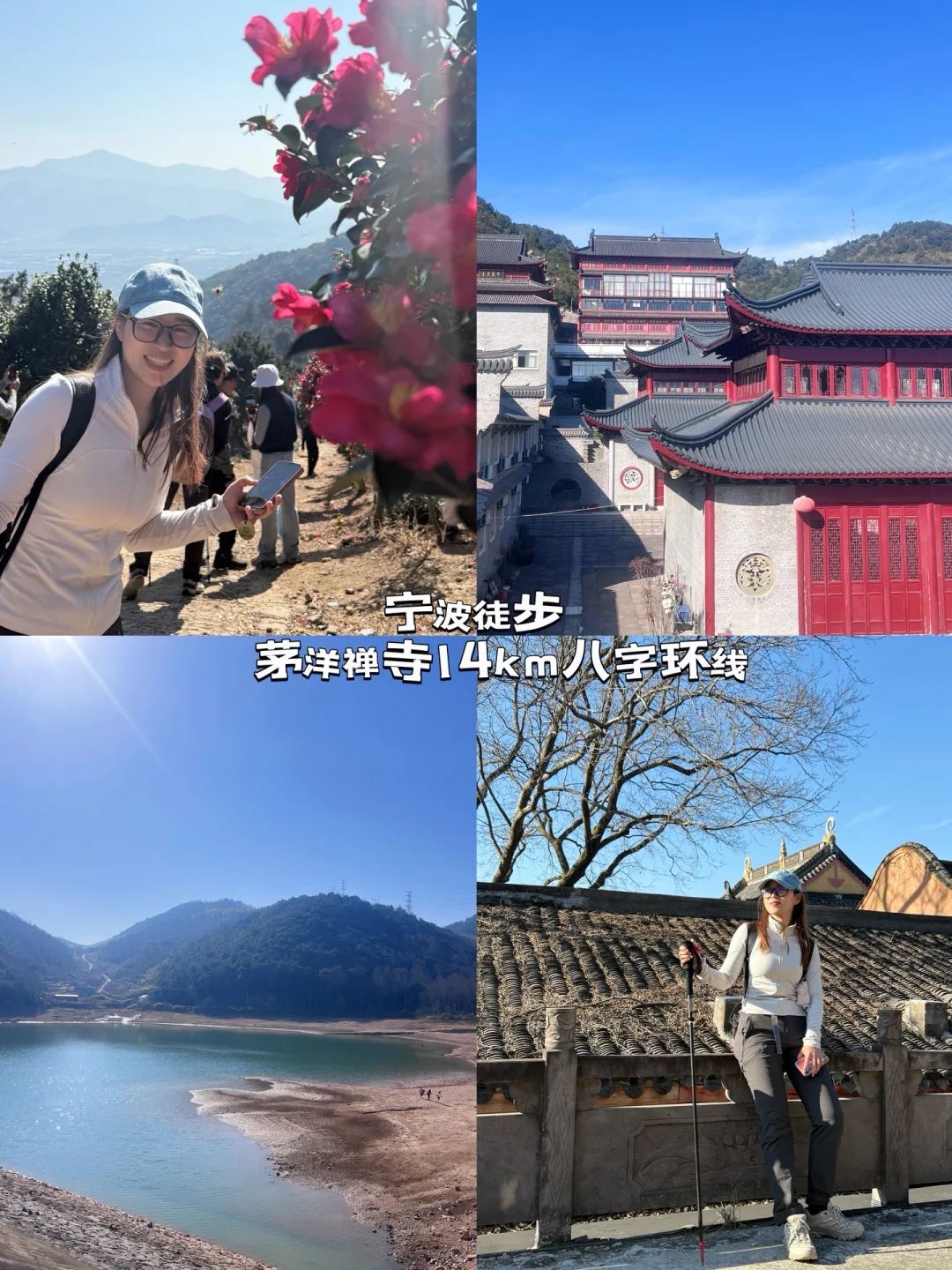宁波徒步｜茅洋禅寺的山茶和水库绝了