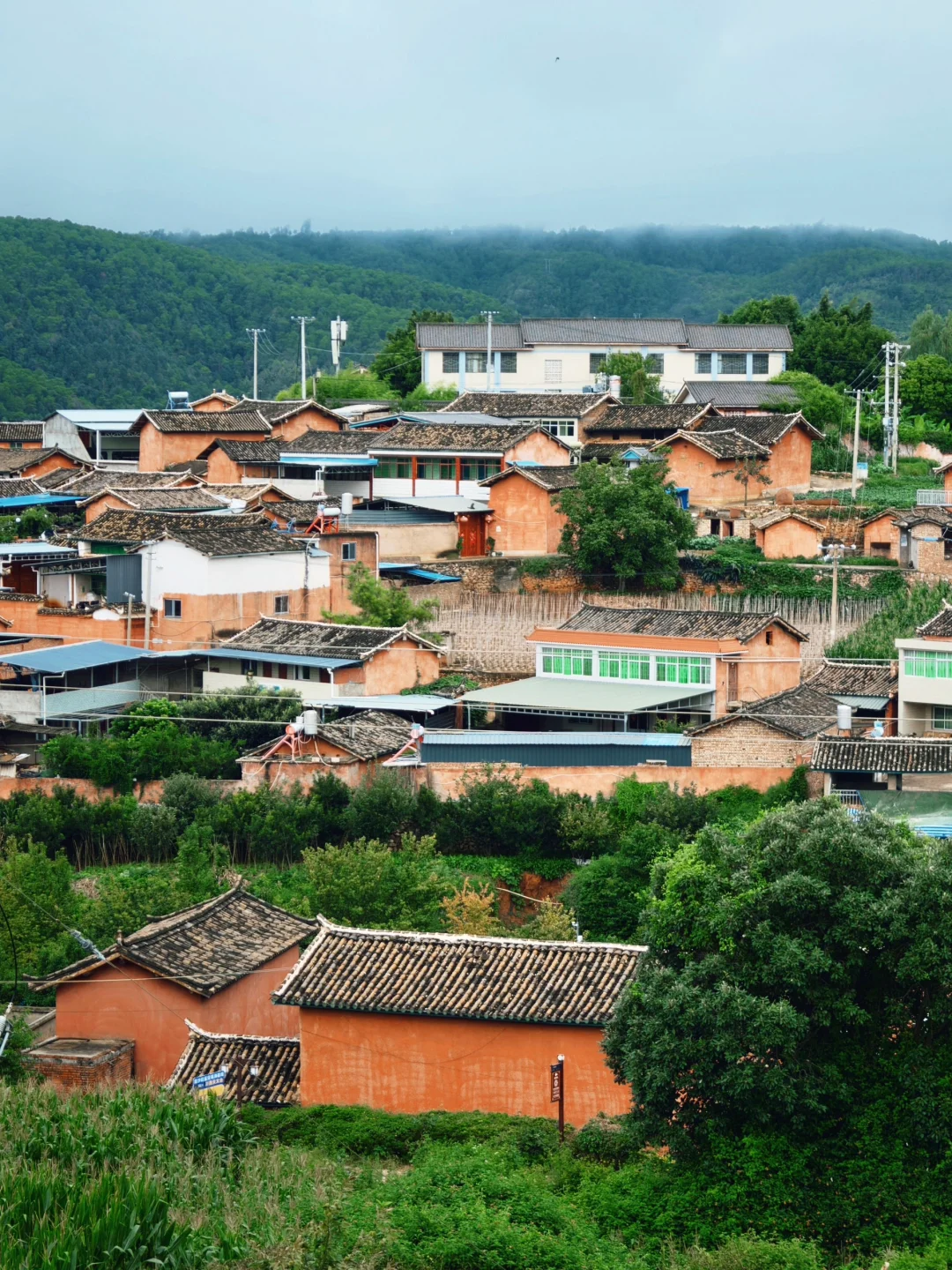 冬天就来这个小众城市吧，避开人潮过暖冬