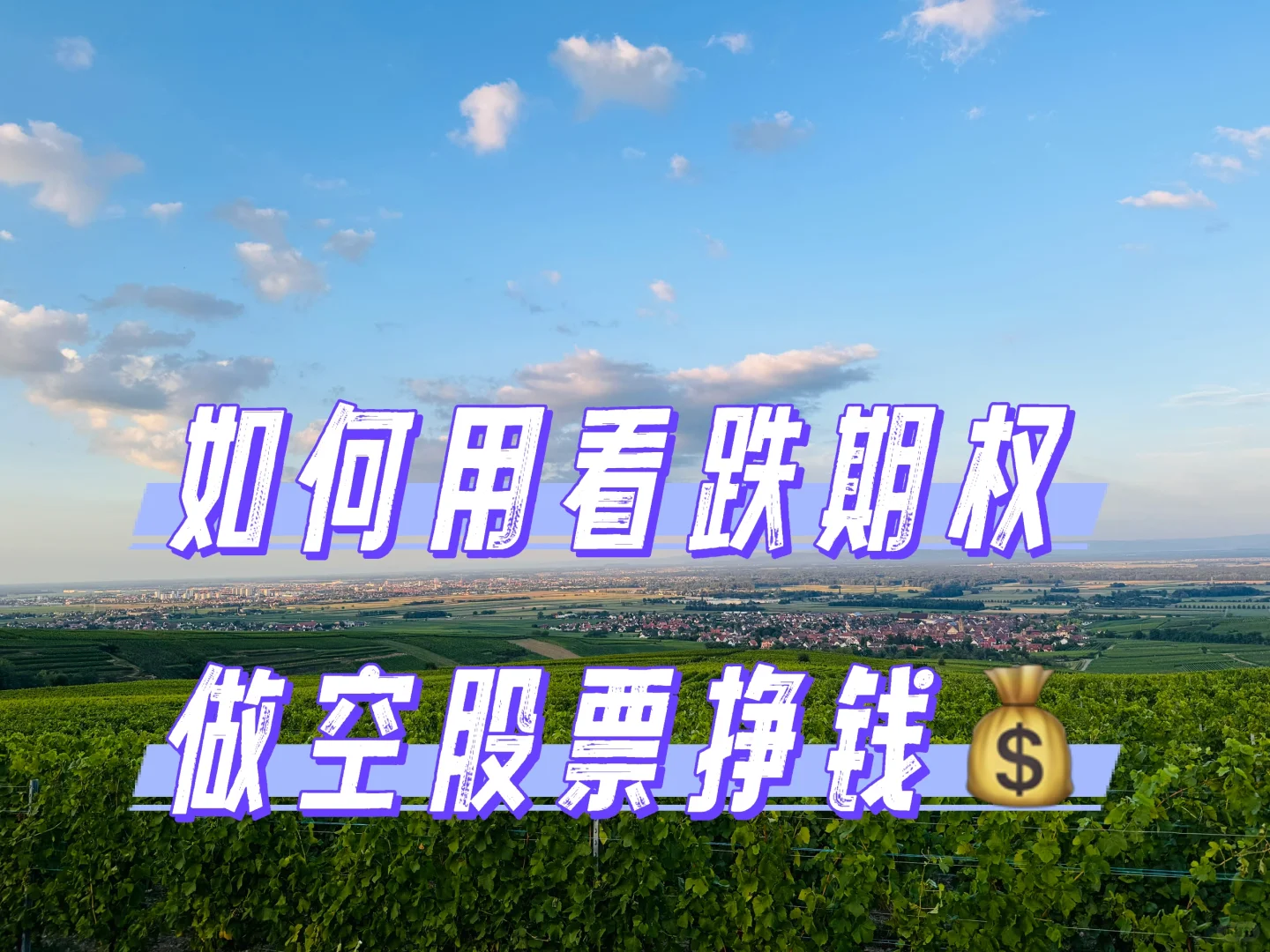 如何用看跌期权做空股票挣钱💰