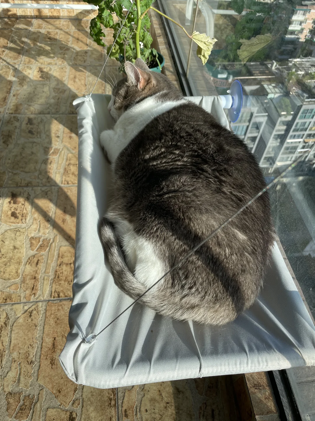 ee我晒下背