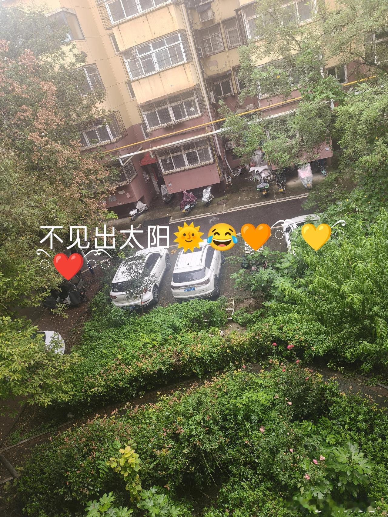晒图笔记大赛昨天见了一天太阳，今天见又下雨了，虽不大但一直在下，也烦人呢[捂脸]