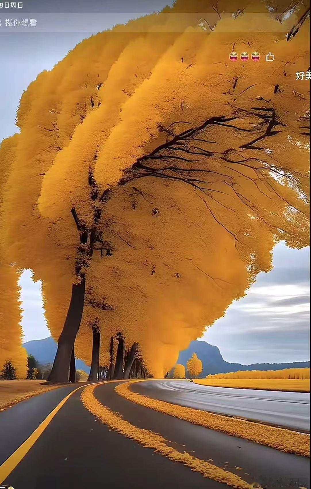 谷歌和SpaceX谷歌（Alphabet旗下）已投资马斯克的SpaceX，201