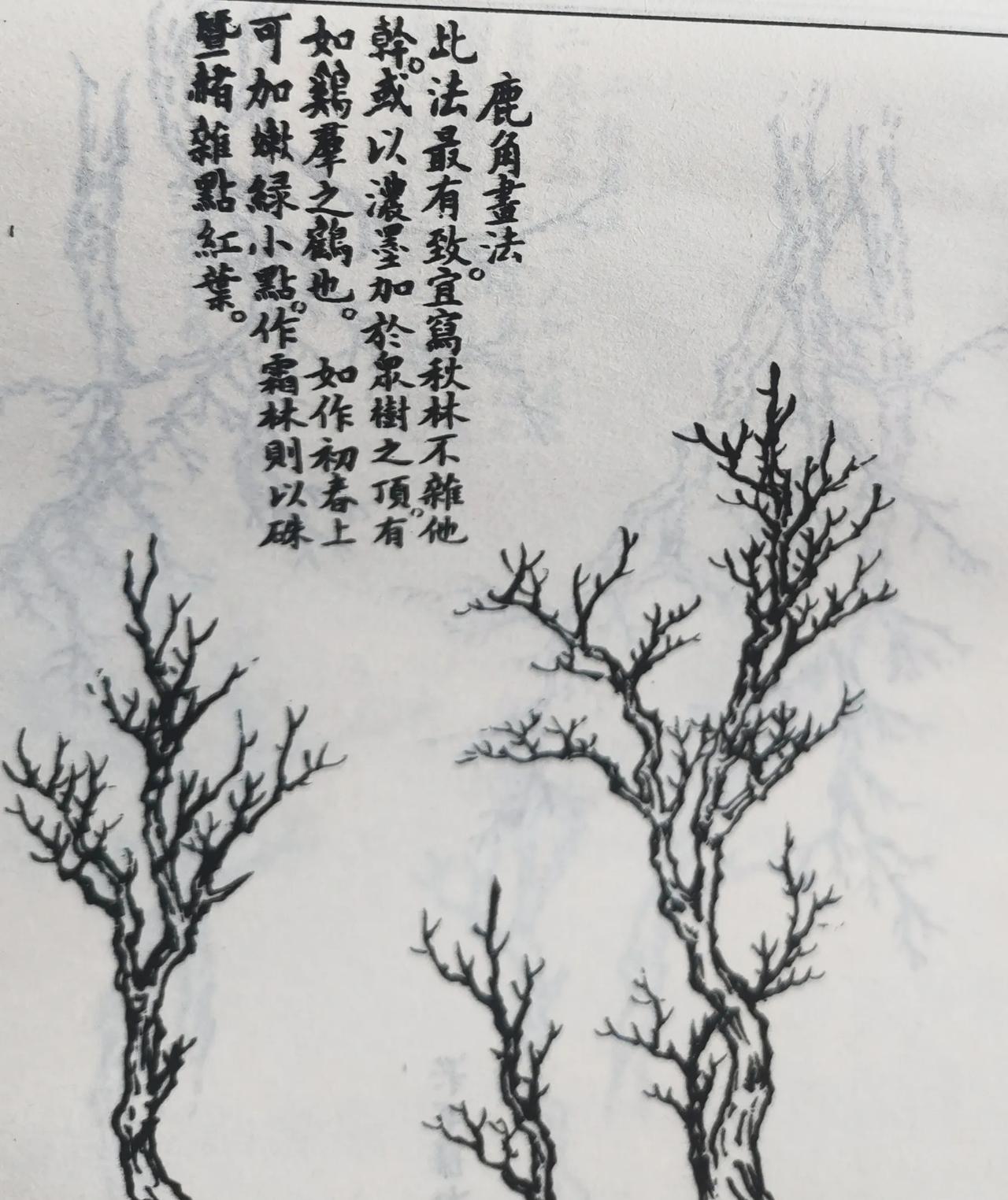 传统山水：画树常用的几种表现画法山水画树法图谱