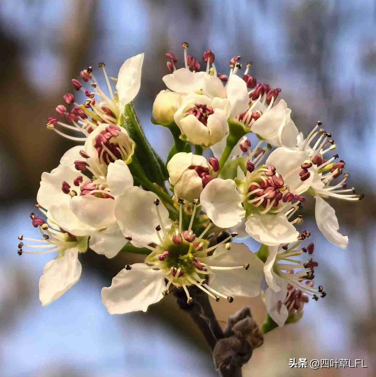 我的今日状态：🏝️旅行度假
我这里的天气：☀️晴天